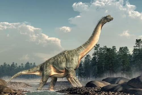 کشف فسیل بزرگترین دایناسور خزنده پای اروپا در حیاط خلوت