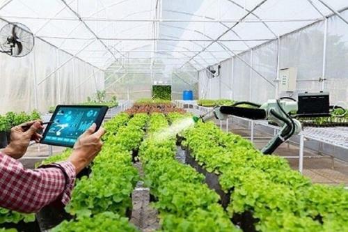 فناوران ایرانی پلت فرم یکپارچه هوشمندسازی کشاورزی ساختند