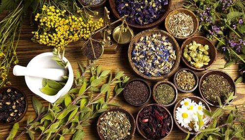 ایده های نوآورانه در 4 حوزه گیاهان دارویی حمایت می شوند