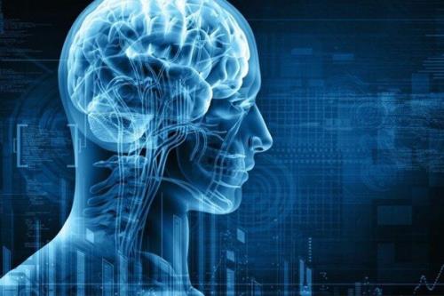 10 طرح در حوزه فناوری کاشتنی های مغزی توسعه می یابد
