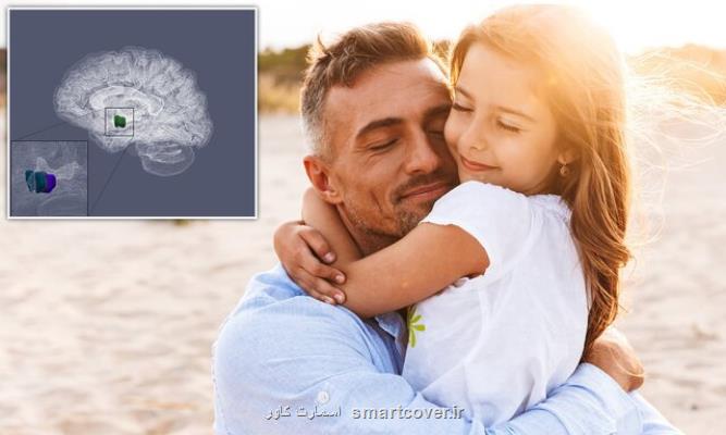 ساختار مغز پدرانی که وقت بیشتری با فرزند می گذرانند متفاوت می باشد