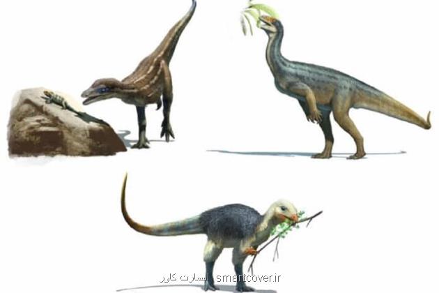 کشف محققان در رابطه با غذای مورد علاقه دایناسورها
