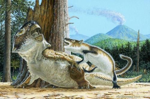 فسیل جانور ۱۲۵ میلیون ساله که یک دایناسور را زنده خورده است