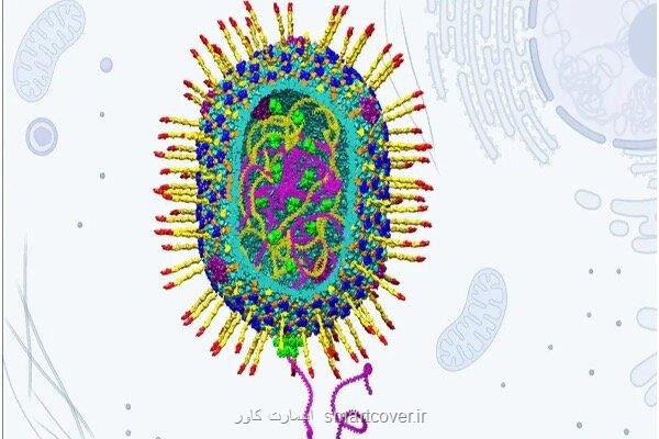ویروس مصنوعی از جنس نانو جان انسان ها را نجات می دهد