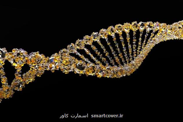 مهندسی یک باکتری برای شناسایی و حتی درمان سرطان