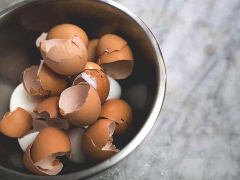 با پوسته تخم مرغ پوشش ضدخوردگی بسازید!