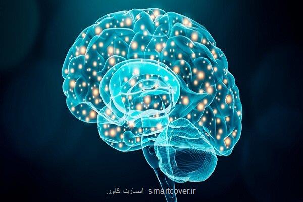 تأمین سرمایه طرح های فناورانه شرکت ها توسط ستاد علوم شناختی