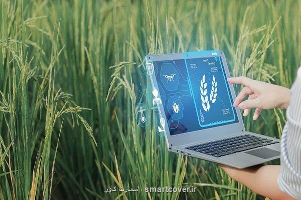 تحقق امنیت غذا با توسعه کشاورزی دیجیتال