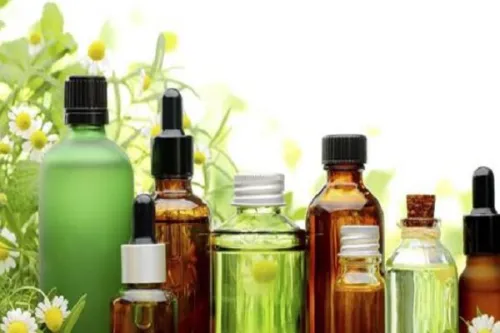 گسترش همکاریهای ایران و هند در صنعت پزشکی و داروهای گیاهی