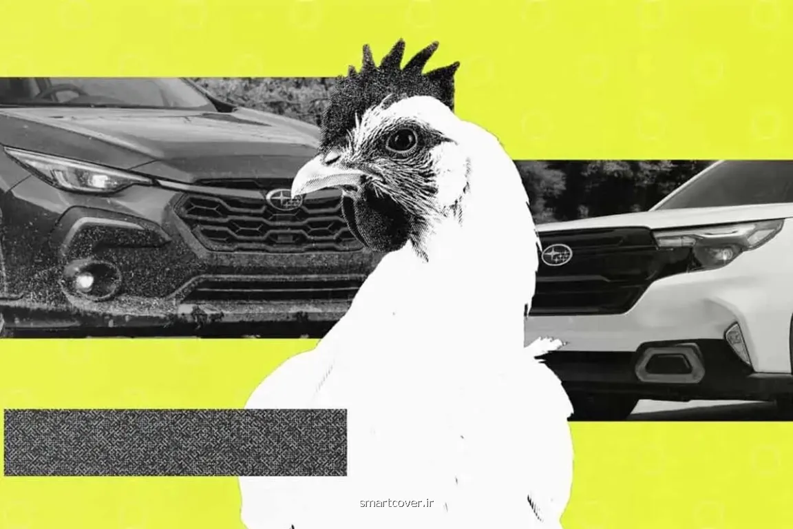 استفاده از خودروی سوبارو برای جابجایی مرغ و خروس