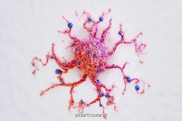 امیدهای تازه برای درمان سرطان های مغزی