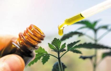 داروی گیاهی ترك اعتیاد رونمایی گردید