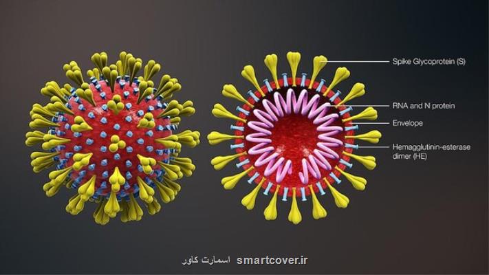 برخی حقایق عجیب درباره ویروس ها و كووید-19