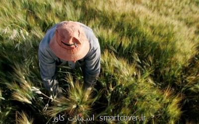 كود هوشمندی كه از آلودگی آب و خاك جلوگیری می كند